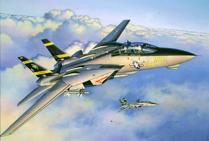 F-14 Tomcat fighter jets in flight