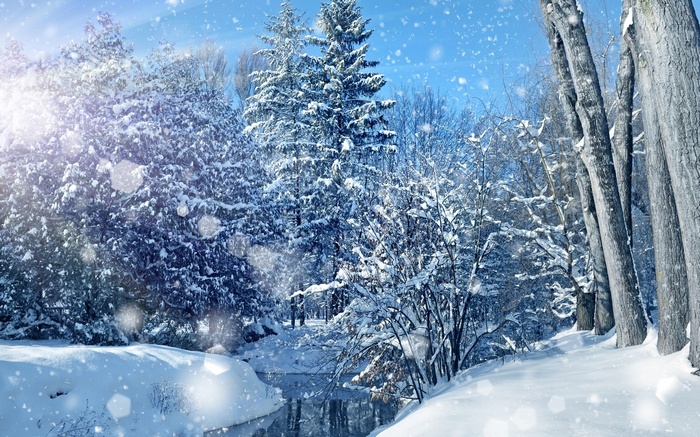 Snowy forest with a stream and falling snow