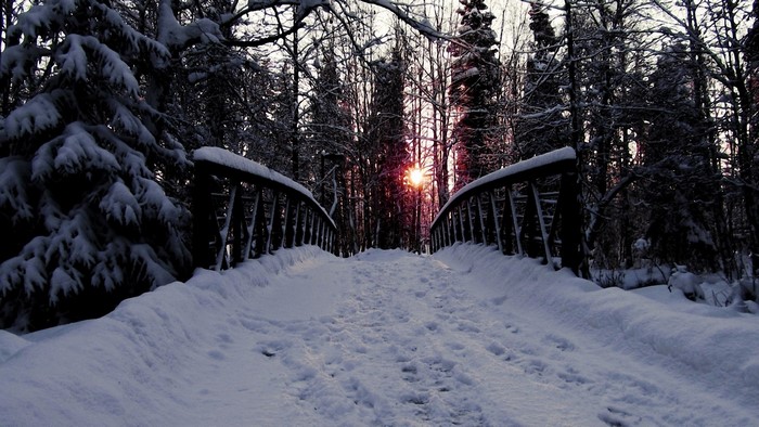 Snowy bridge at sunset in a forest