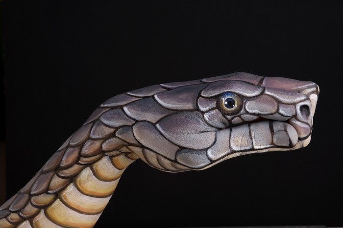 Hand painted snake head