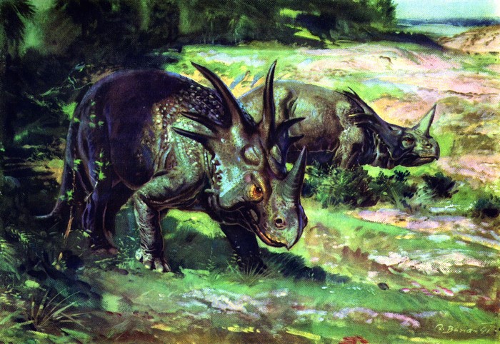 Two Styracosaurus dinosaurs in a prehistoric landscape