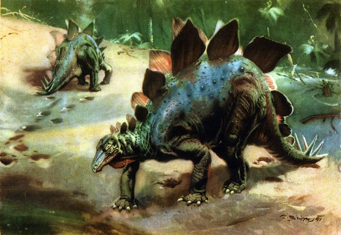 Two Stegosaurus dinosaurs walking in a prehistoric landscape