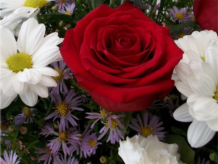 Red rose and white daisies bouquet