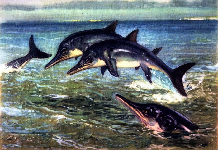 Ichthyosaurs swimming in the ocean