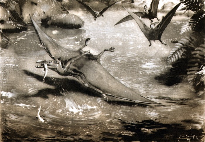 Pterosaurs hunting fish in a prehistoric river