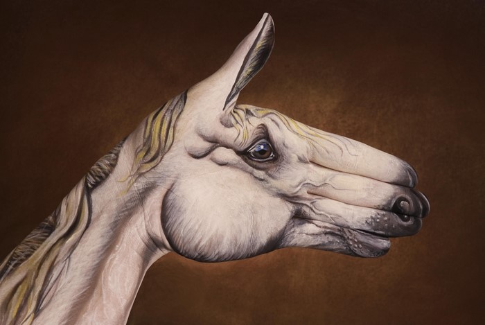 Horse head painted on a hand