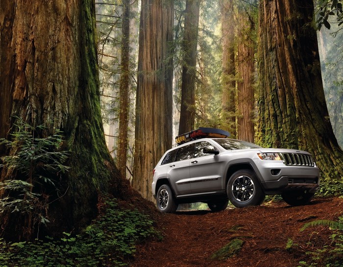 Silver Jeep Grand Cherokee in Redwood Forest