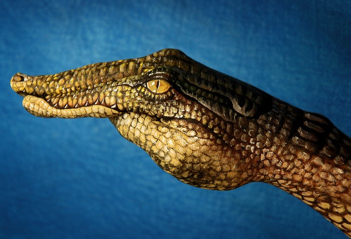 Hand painted to look like a crocodile head