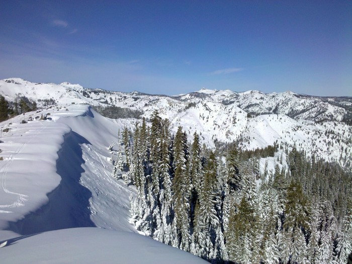 Snowy mountain range with pine trees under a clear blue sky