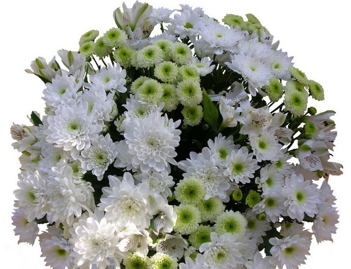 Bouquet of white and green flowers