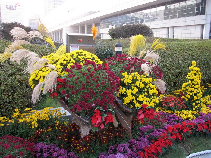 Autumn flower arrangement with chrysanthemums and poinsettias