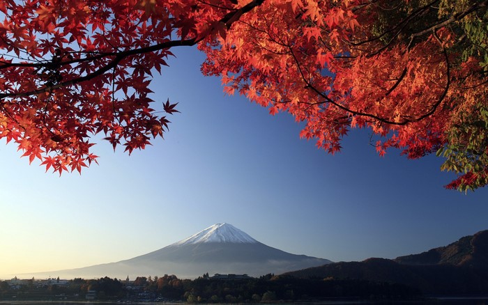 Mount Fuji with Autumn Maple Leaves