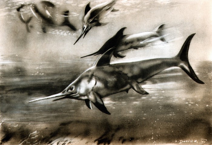 Ichthyosaurs swimming in the ocean