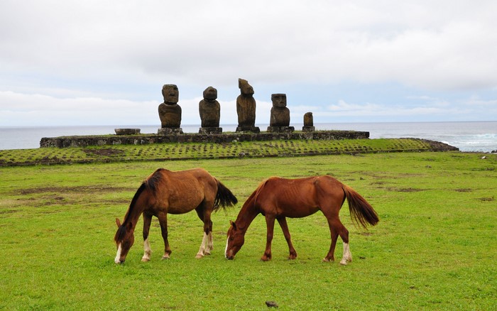 Horses grazing near Moai statues on Easter Island