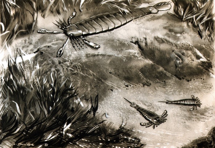 Ancient sea scorpions in prehistoric waters