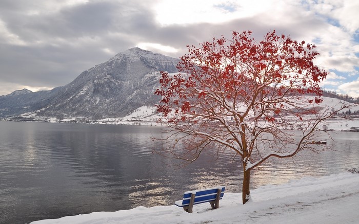 Snowy mountains and lake with a tree and bench