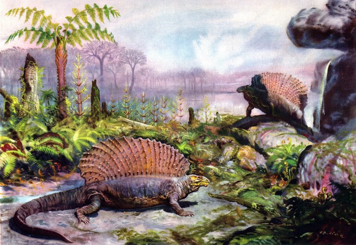 Dimetrodon prehistoric landscape with ferns and water