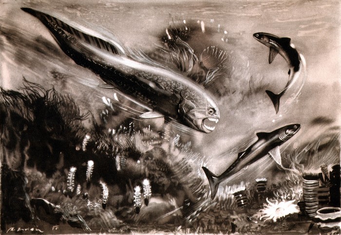 Prehistoric fish and sharks in underwater scene