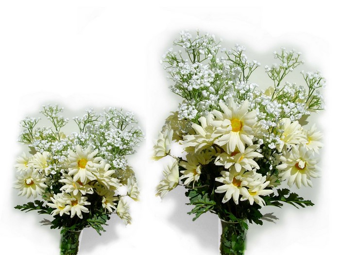 Two bouquets of white daisies and baby's breath