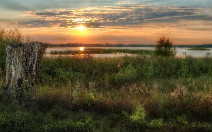 Sunrise over a lake with a tree stump