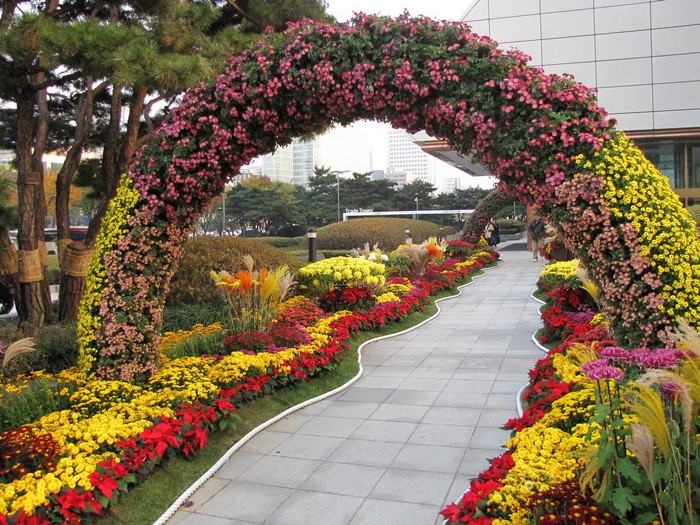 Flower Archway with Chrysanthemums and Poinsettias