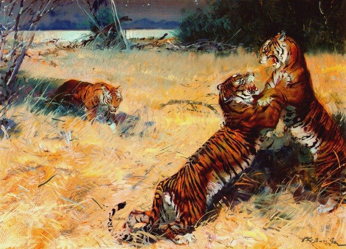 Three tigers fighting in a dry grassy field