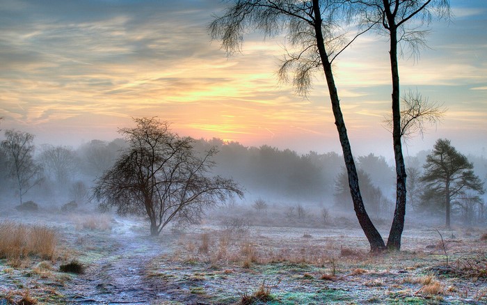 Misty winter sunrise over a frosty landscape
