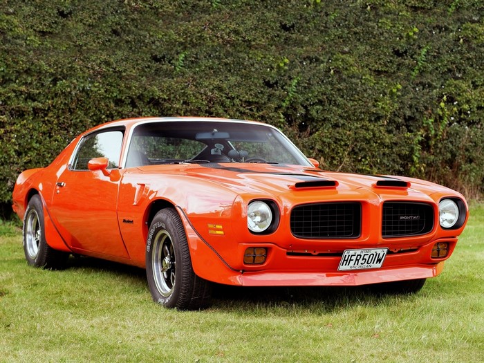 Orange Pontiac Firebird Trans Am parked on grass
