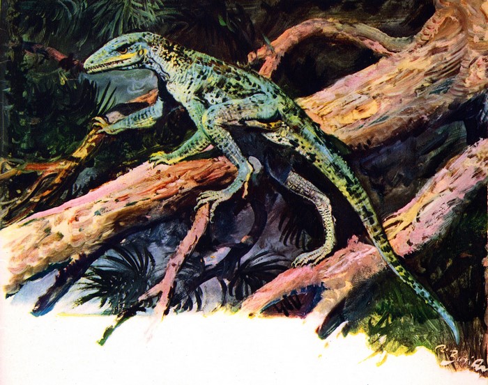 Illustration of a dinosaur on a tree branch