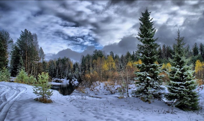 Winter landscape with snow-covered trees and a river