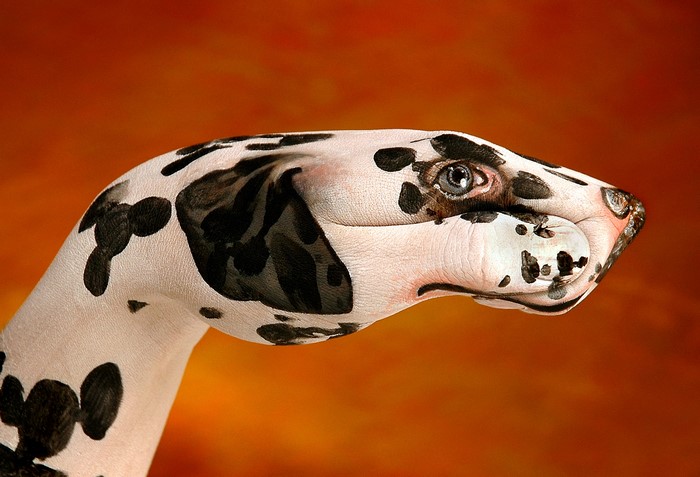 Dalmatian dog painted on a hand