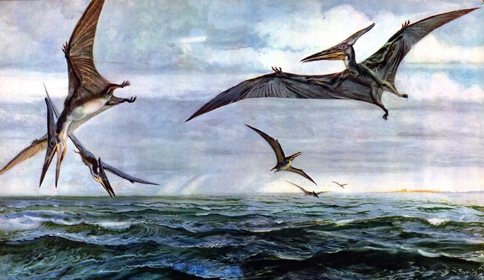 Pterosaurs flying over the ocean