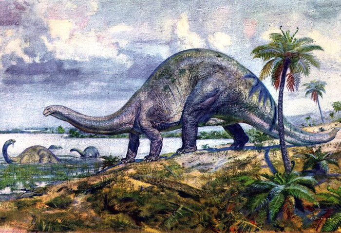 Sauropod dinosaurs in a prehistoric landscape