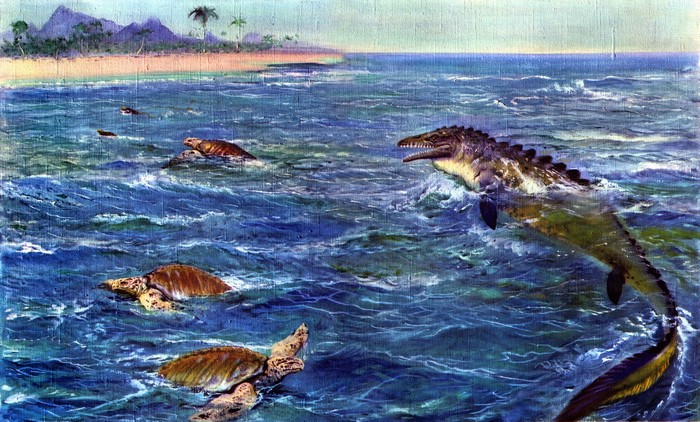 Ancient marine reptiles and sea turtles near a tropical island