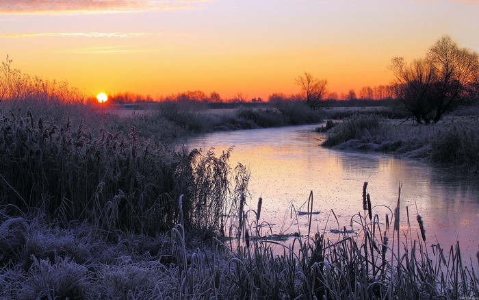 Frozen river at sunrise with reeds