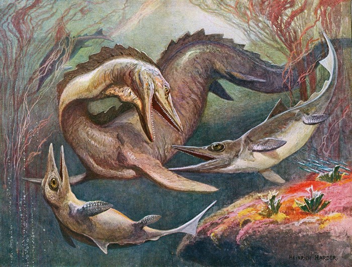 Prehistoric marine reptiles in underwater scene