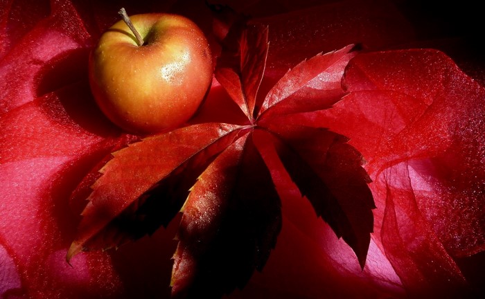 Red apple and autumn leaf on red fabric