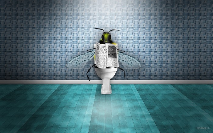 Fly reading newspaper on toilet