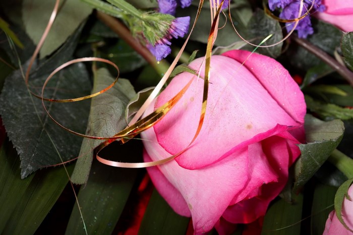 Pink rose with gold ribbon and purple flowers