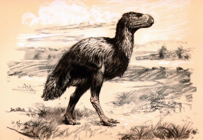 Diatryma prehistoric bird illustration