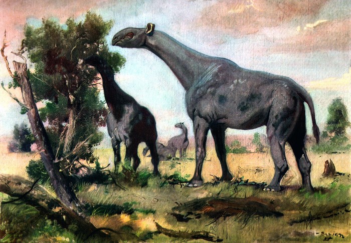 Indricotherium ancient animals painting