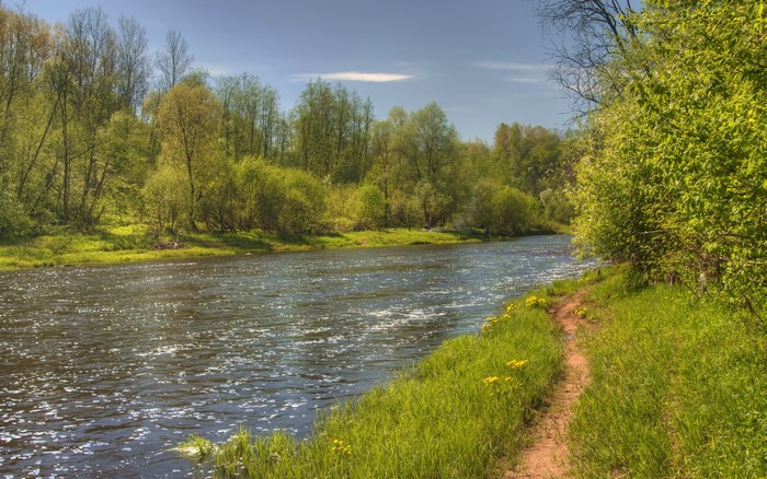 River flowing through a green forest with a dirt path