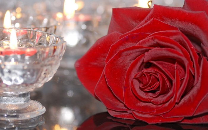 Red Rose and Candles