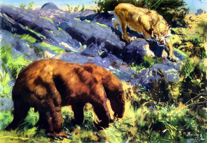 Saber-toothed cat confronts a giant ground sloth