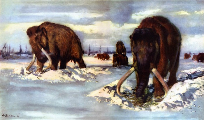 Mammoths in a Snowy Landscape