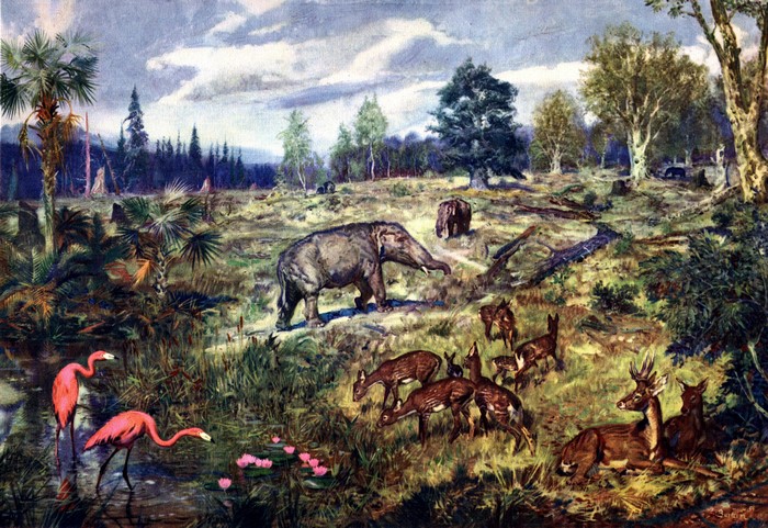 Miocene landscape with ancient animals