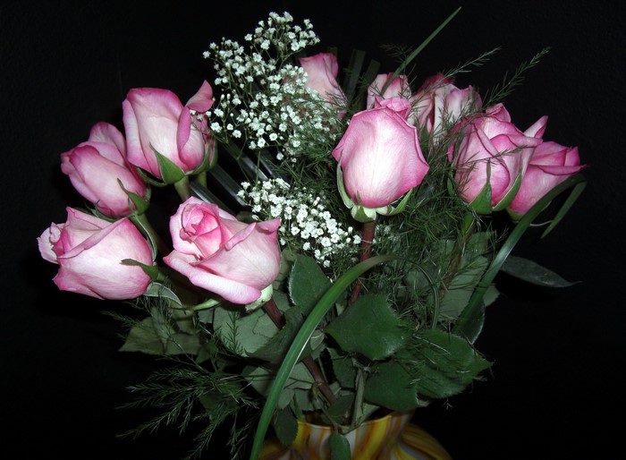 Bouquet of pink roses with baby's breath