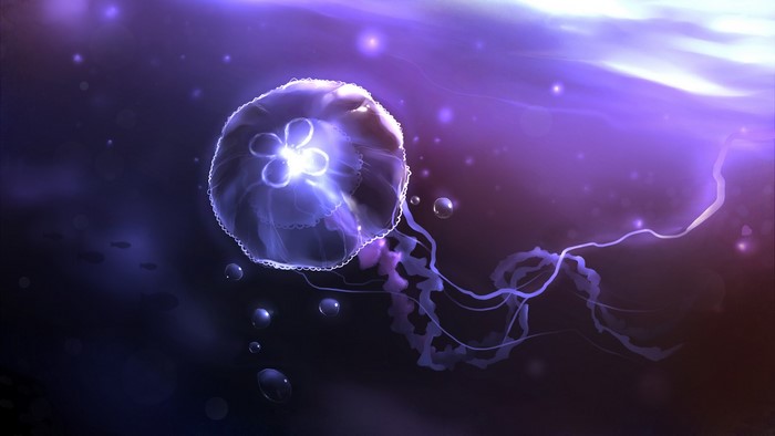 Glowing jellyfish in a dark purple ocean