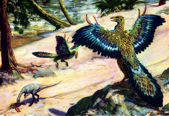 Compsognathus and Archaeopteryx dinosaurs in prehistoric landscape