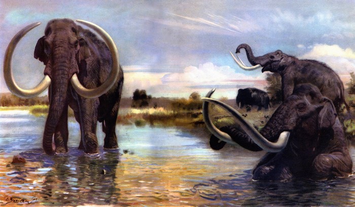 Archidiskodon in a river